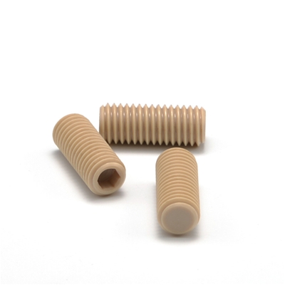 PEEK Hexagon Socket Set Screws